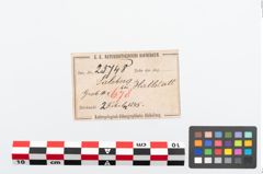 Etikett zu Bronzebrillenfibel (NHMW-PRAE-025748)